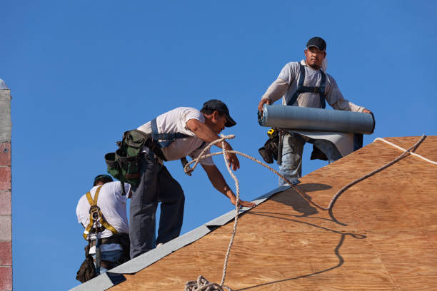Best Shingle Roofing Installation  in Cimarron, KS